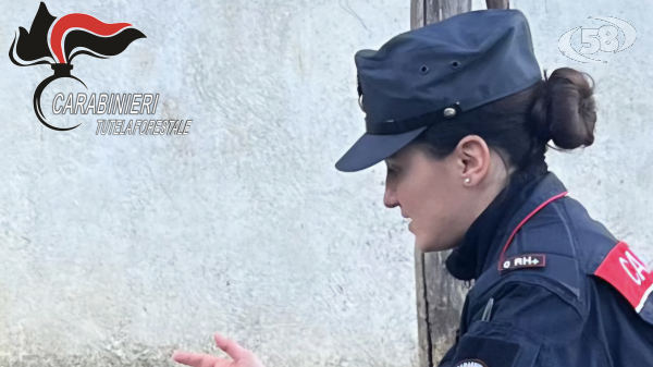 I Carabinieri denunciano due persone per uccisione di animali