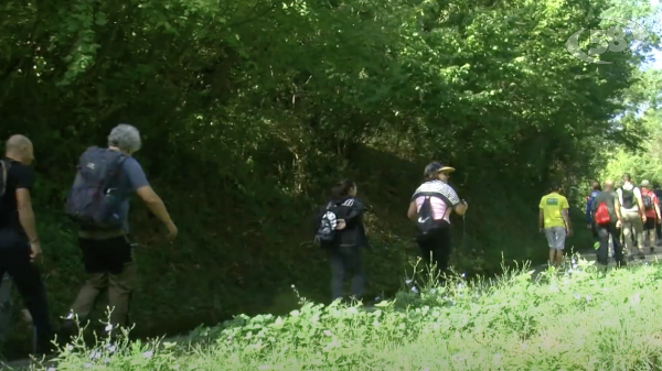  “Trekking a Valleluogo”, nove chilometri nella natura