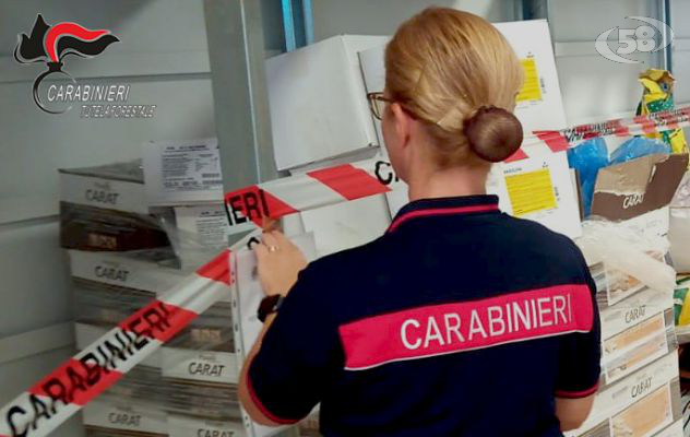 Carabinieri sequestrano una tonnellata di prodotti alimentari scaduti