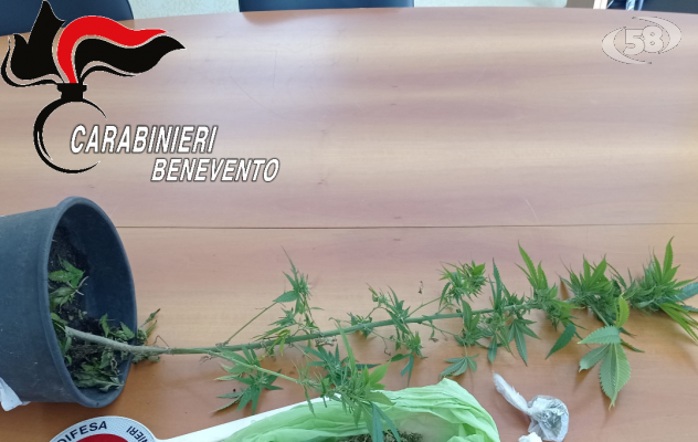 Droga nascosta tra case e cortili, blitz dei Carabinieri : 56enne nei guai