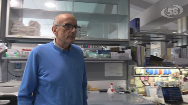 Studio Biogem-Vanvitelli: identificato nuovo soppressore del carcinoma epatocellulare