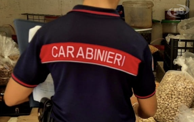 Agroalimentare: i Carabinieri denunciano un artigiano