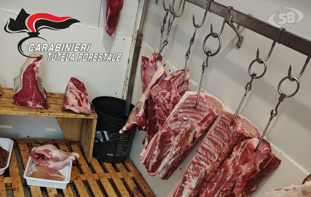 Sequestrati 20 chili prodotti alimentari, "riscontrate gravi violazioni igienico-sanitarie"