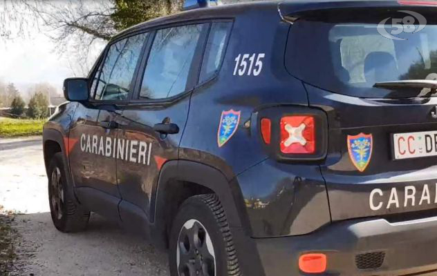 I Carabinieri denunciano una persona per abusivismo edilizio