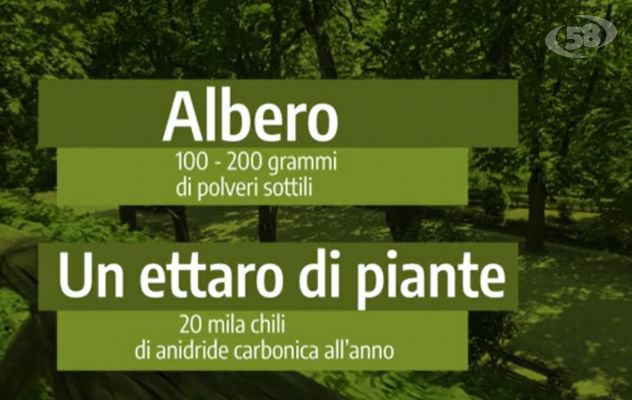 Sos alberi e aree verdi, eppure fondamentali anche per la crescita sana dei bambini. I dati/VIDEO
