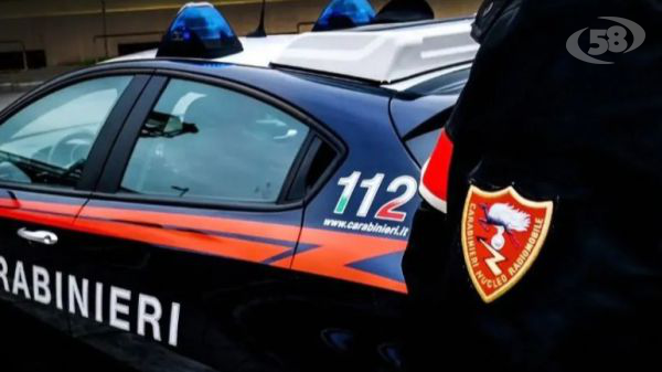 Carabinieri bloccano coppia dopo furto in negozio: denunciati