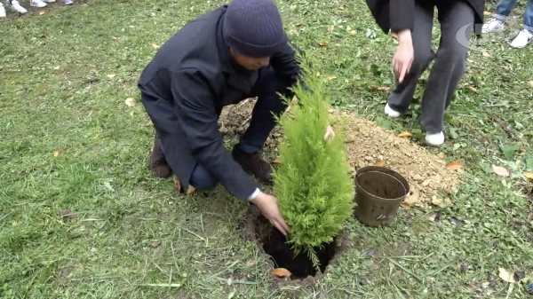 Festa dell'Albero ad Ariano: un arbusto agli alunni delle primarie e infanzia