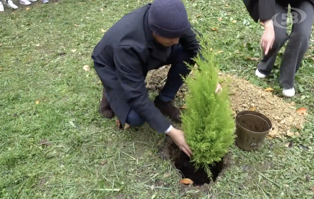 Festa dell'Albero ad Ariano: un arbusto agli alunni delle primarie e infanzia