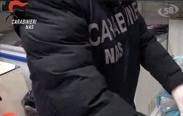 "Macellazione clandestina e in pessime condizione igienico sanitario". Maxi sequestro dei Nas di Salerno/VIDEO