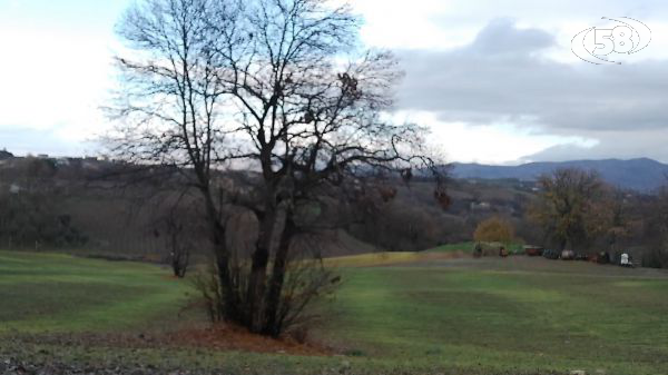 Forno crematorio a Pietradefusi e ai piedi di Montefusco, “rispettiamo la sentenza del Tar ma non ci arrenderemo”
