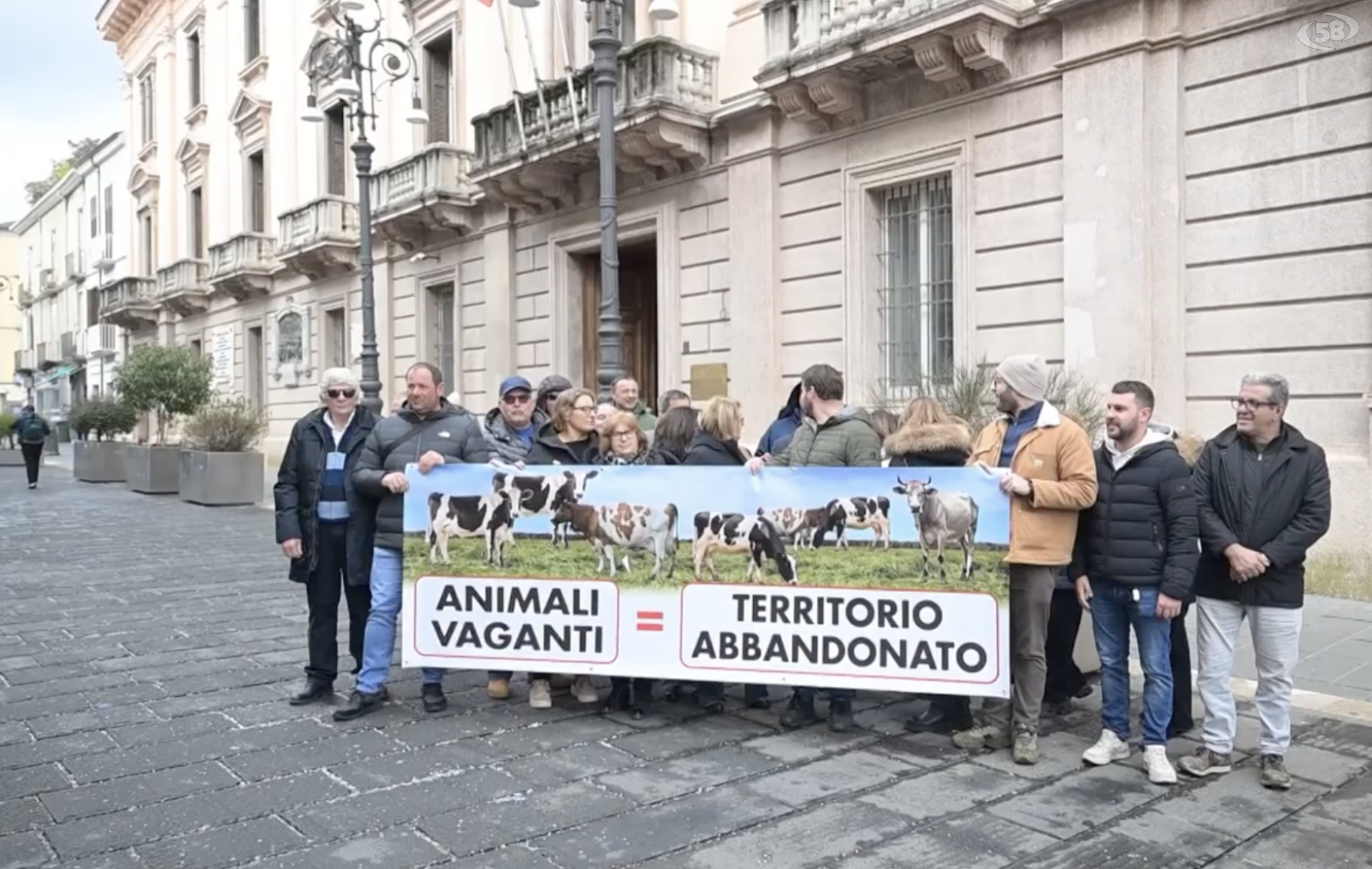 Animali vaganti, territorio abbandonato: la protesta di Monteverde e Aquilonia