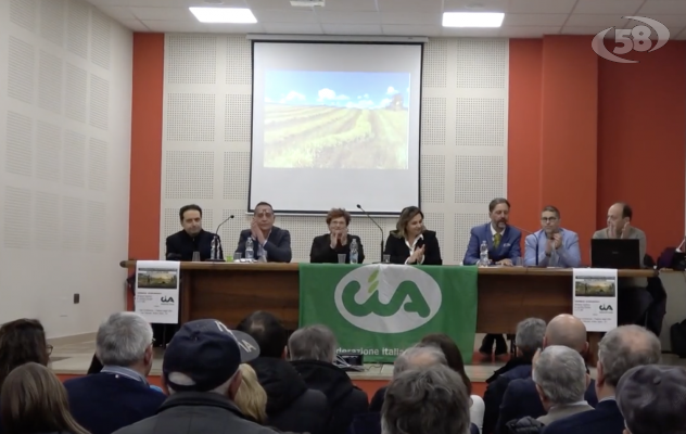 Serluca: "Ascolto dei territori per spendere bene le risorse"