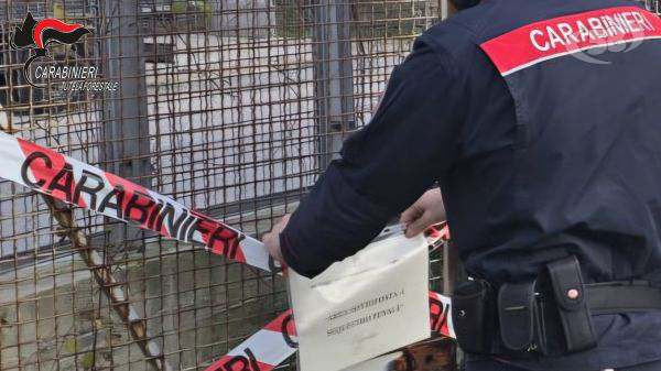 Flumeri, Carabinieri sequestrano un capannone abusivo