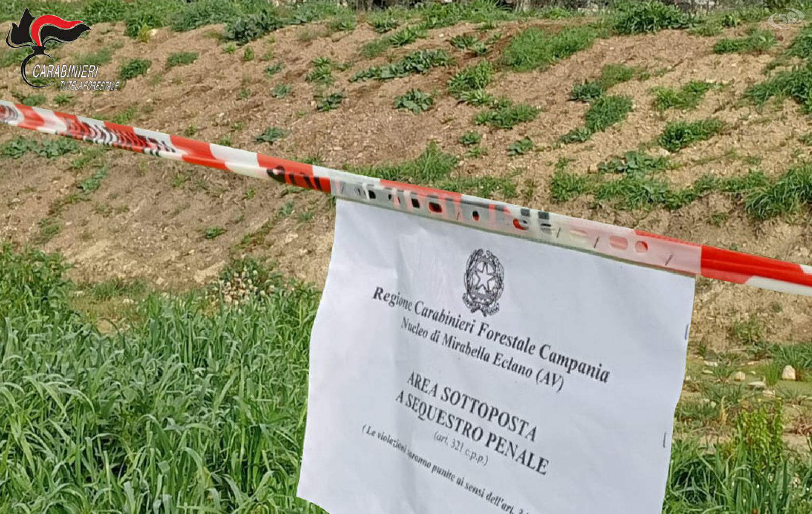 Melito, Carabinieri sequestrano un terreno di 1000 metri quadrati