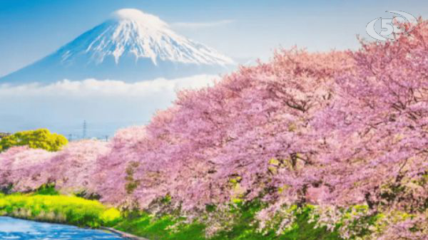 Guiness Travel completa l'offerta Estremo Oriente per il biennio 2026-2027