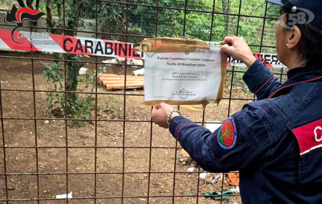 Dieci cani detenuti in grave condizione di sofferenza