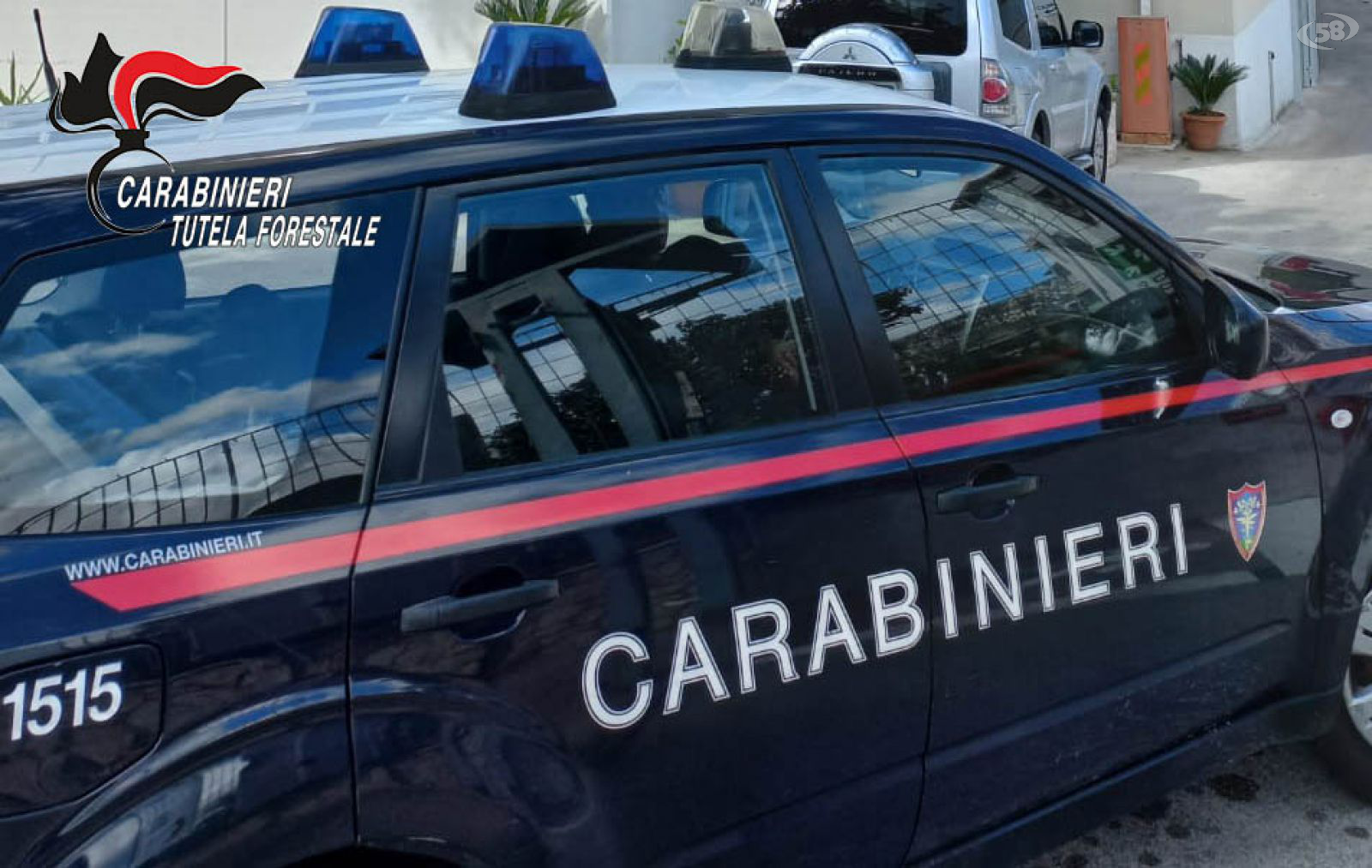 Inquinamento fiume Sarno, Carabinieri denunciano un imprenditore