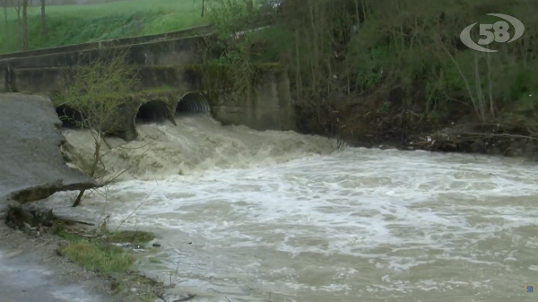 Piogge intense fanno esondare il torrente Fiumarelle, l'allarme di Uniagri