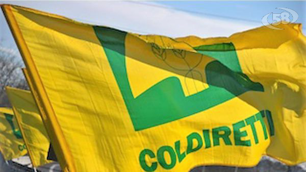 Coldiretti, da domani ad Avellino il "Villaggio Contadino"