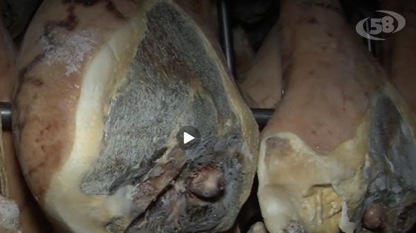 Dai prosciutti alle cagliate, Coldiretti: l’invasione “silenziosa” che soffoca il made in Italy. Si intervenga/VIDEO