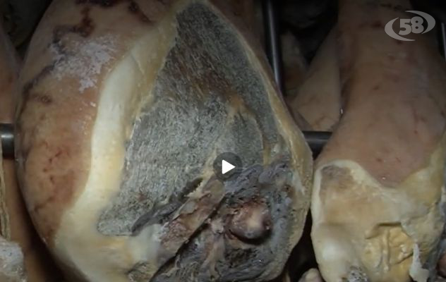 Dai prosciutti alle cagliate, Coldiretti: l’invasione “silenziosa” che soffoca il made in Italy. Si intervenga/VIDEO