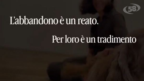 Non abbandonare i nostri amici fedeli: è un reato. La Polizia di Stato in campo/VIDEO
