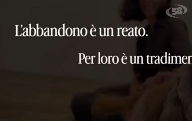 Non abbandonare i nostri amici fedeli: è un reato. La Polizia di Stato in campo/VIDEO