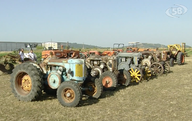 Al via l'8° Raduno dei Trattori d'Epoca ad Ariano Irpino