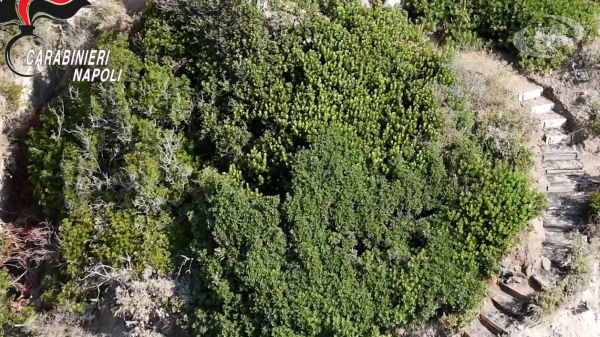 Resort di lusso "abusivo" incastonato nella roccia. Nascosto dalla vegetazione. I Carabinieri hanno raggiunto la costa a nuoto/VIDEO