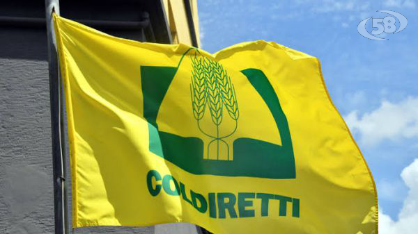 “Due mondi, un unico territorio”: a Mirabella Eclano confronto su agricoltura e turismo