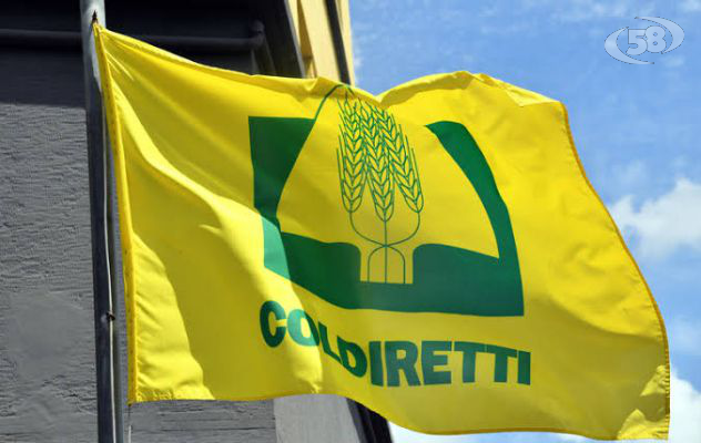 “Due mondi, un unico territorio”: a Mirabella Eclano confronto su agricoltura e turismo