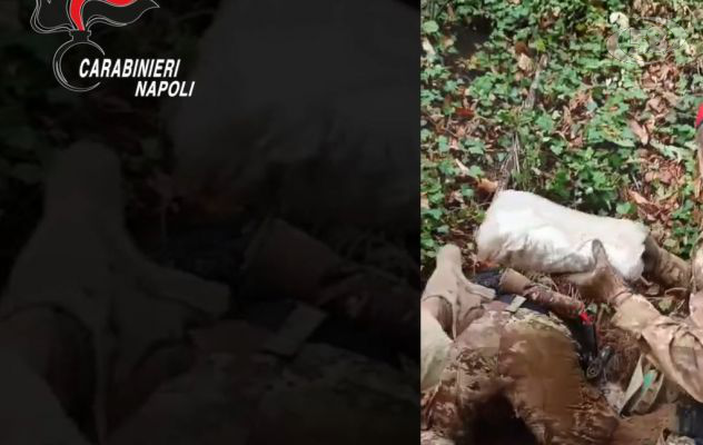 Operazione 'Continuum Bellum'. Droga e armi scovati nella montagna: scovati 74 chili di marijuana/VIDEO