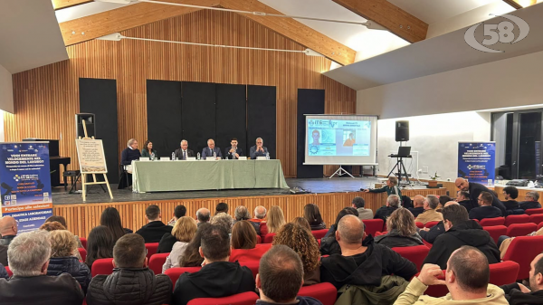 Contro lo spopolamento, “Dalle idee all’impresa”: il ruolo degli ITS Academy 