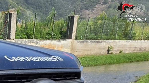I Carabinieri sequestrano area realizzata abusivamente sul demanio 