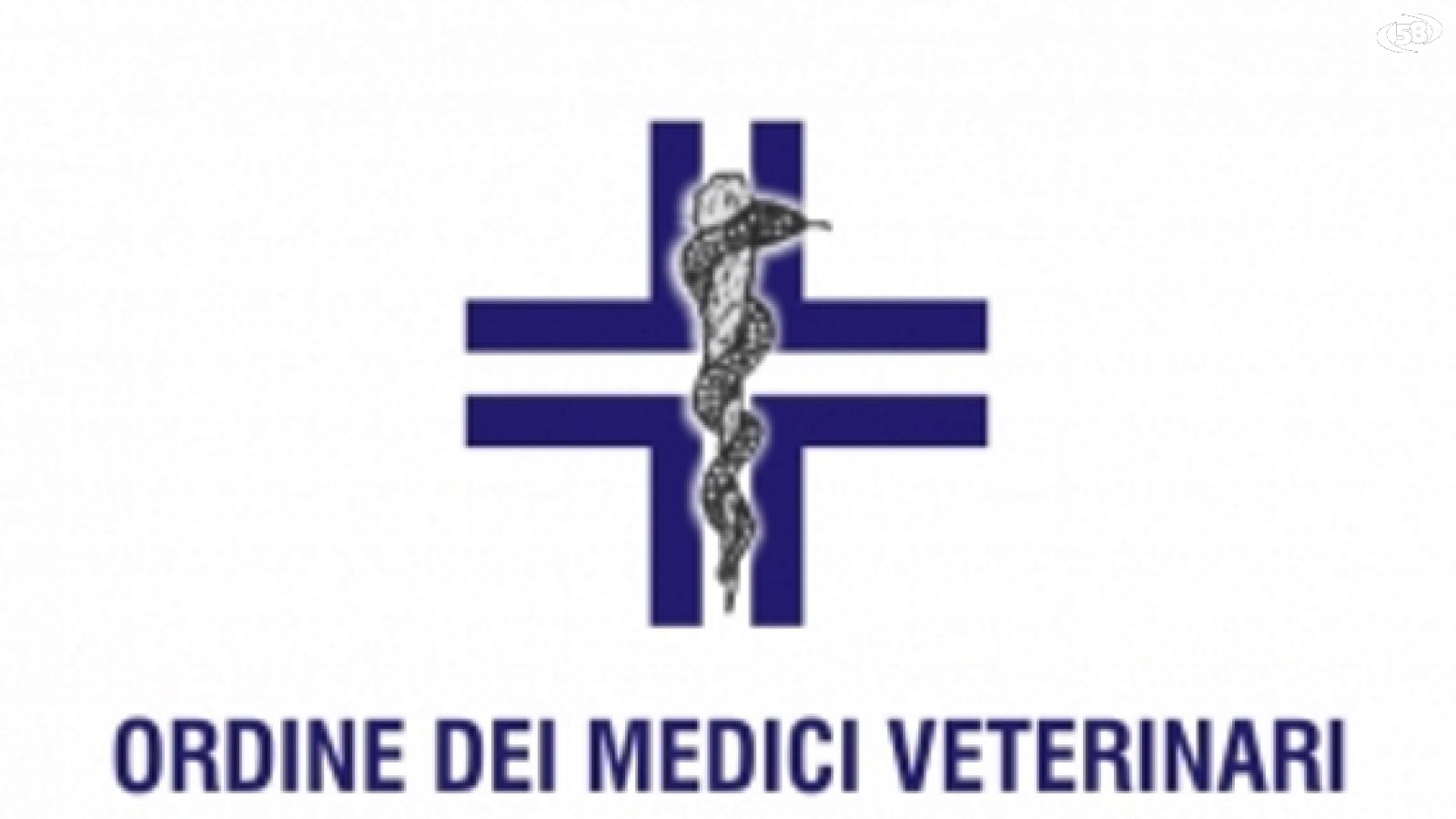 veterinario