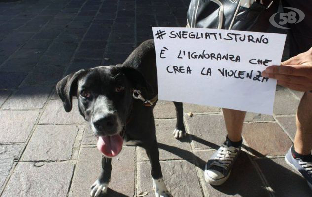 Sturno, cuori al posto delle svastiche: flash mob contro odio e indifferenza/VIDEO