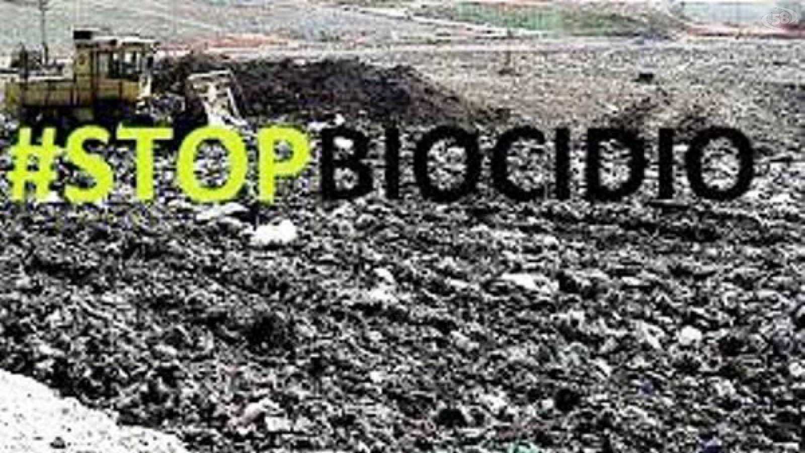 stopbiocidio