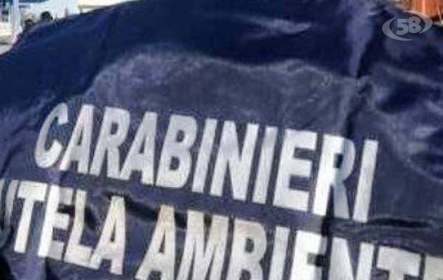 Irpinia, sequestrata area di stoccaggio rifiuti dai Carabinieri del Noe