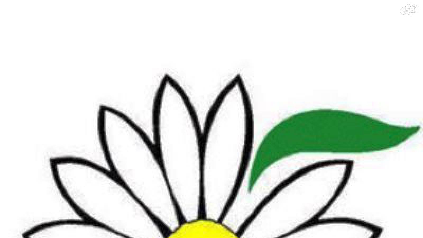 fim cisl