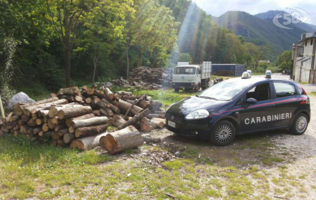 Carabinieri denunciano 3 persone: sequestrati 10 quintali di legna