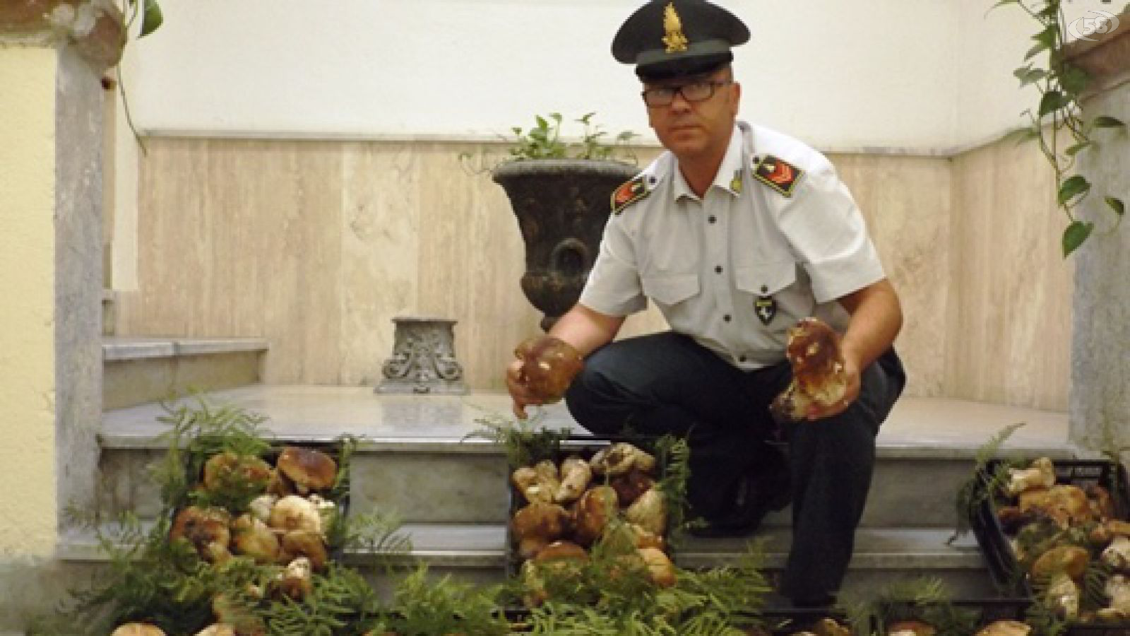 sequestro funghi