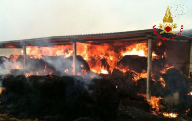 Capannone agricolo in fiamme: Vigili del Fuoco all'opera