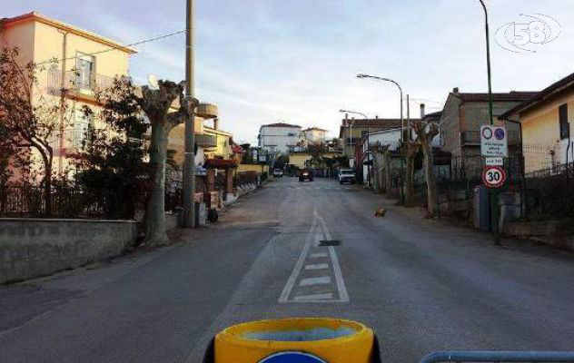 Fontanarosa, giù i platani di Viale Rinascita. Rabbia e ironia su Facebook/FOTO