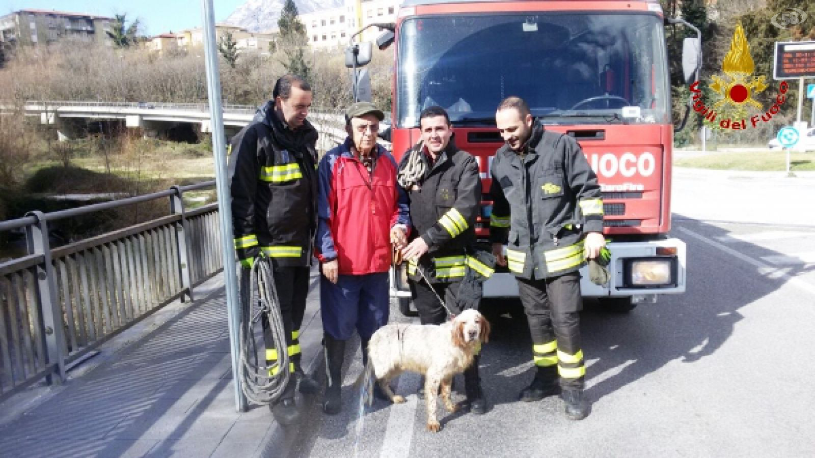 salvataggio cane