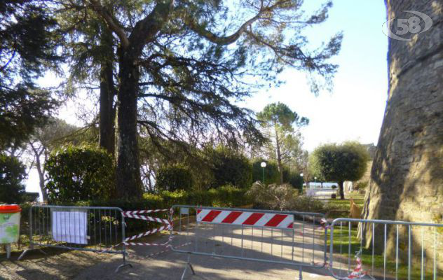 Ariano, il vento butta giù un albero: transenne in villa comunale