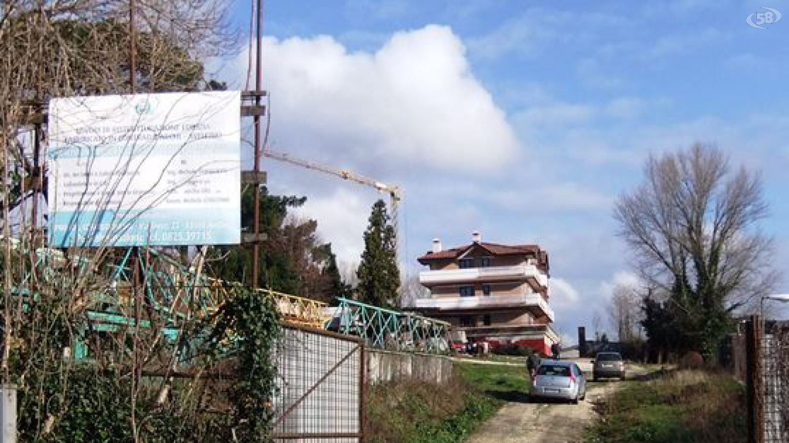 sequestro forestale