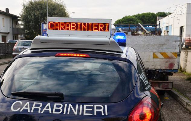 Rubano manufatti da un giardino, due denunce