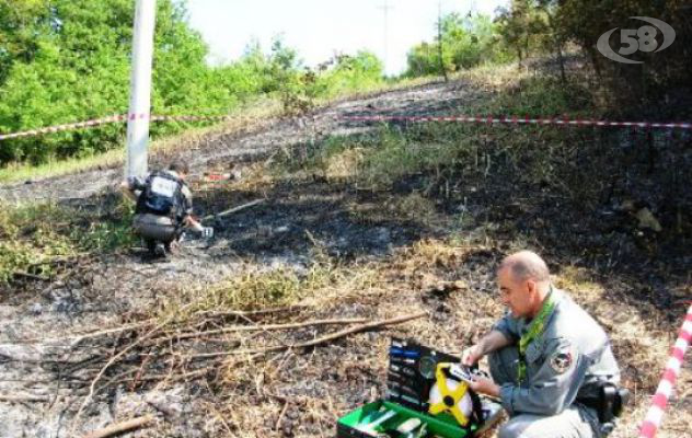 Tre ettari di bosco in fiamme, denunciato presunto responsabile