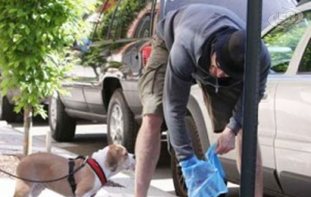 Paletta e sacchetto per portare il cane a spasso, arriva l'ordinanza