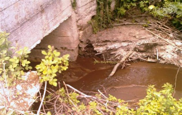 Strade abusive nei boschi, sigilli da parte della Forestale